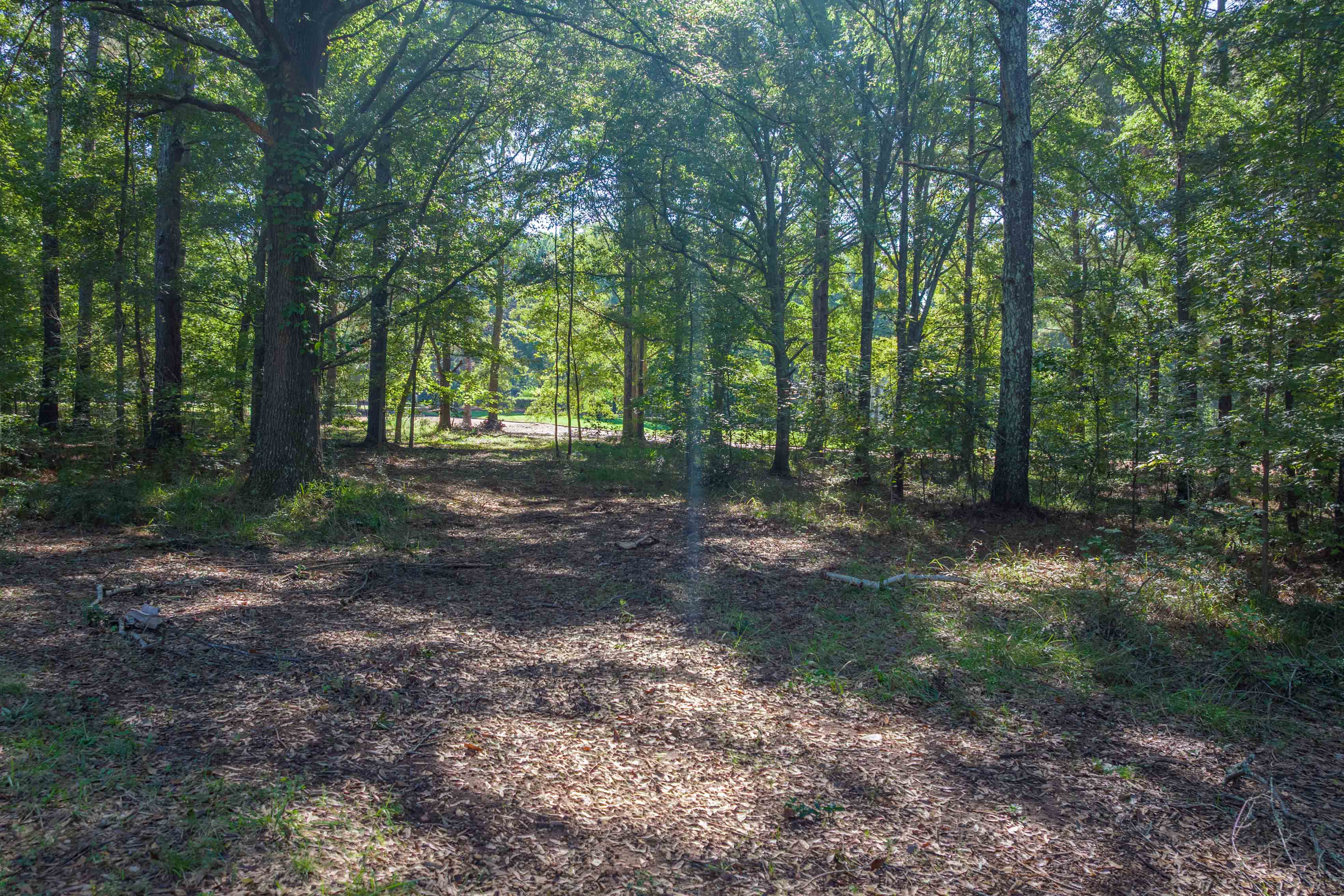 236 Broadlands Drive image 5